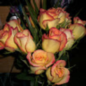 Meet your Posher, Bethany